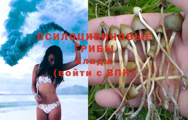 ALPHA PVP Беломорск