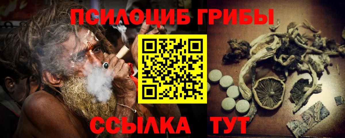 Саяногорск  Галлюциногенные грибы мухоморы  Вход с VPN 